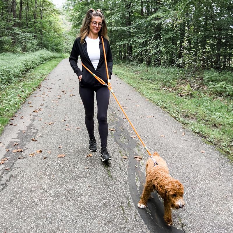 Running Gear Dog - Reflecterende handsfree hondenriem voor wandelen, wandelen