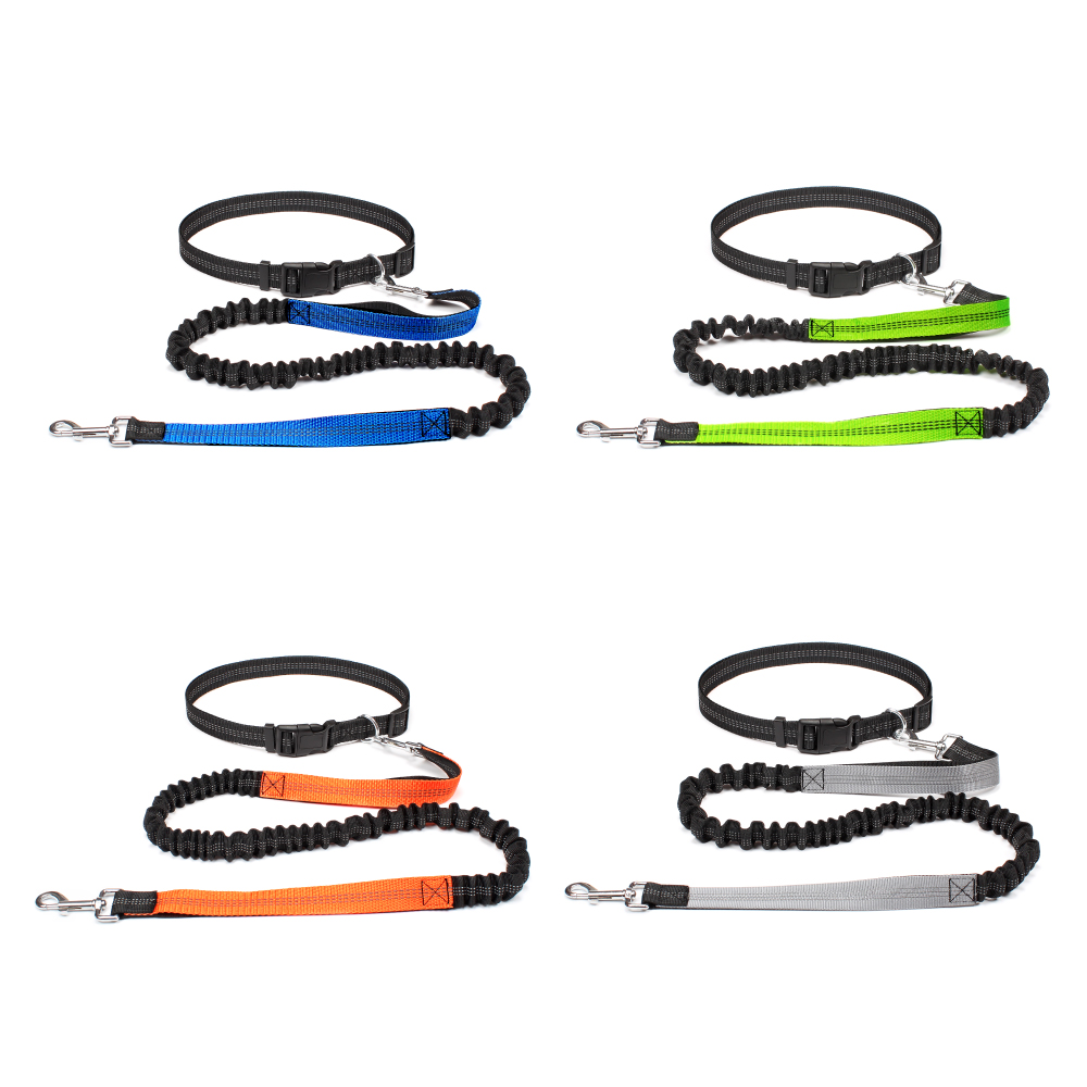 Handvrije hondenriem voor het  - Running Gear Dog recensie en prijs