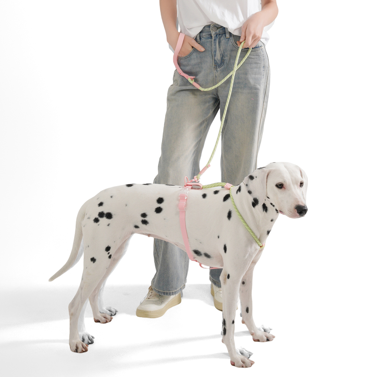 Harnas voor kleine en middelgr - Running Gear Dog recensie en prijs
