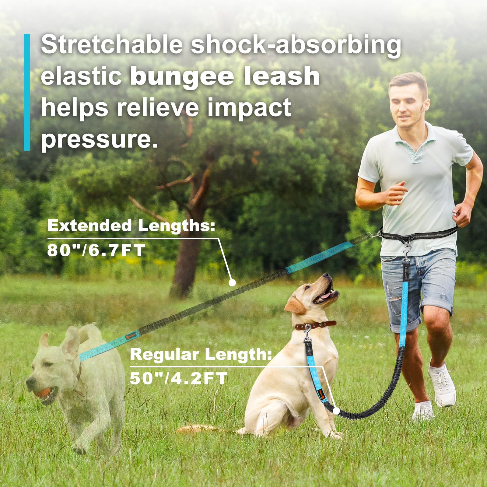 Dubbele elastische reflecteren - Running Gear Dog recensie en prijs