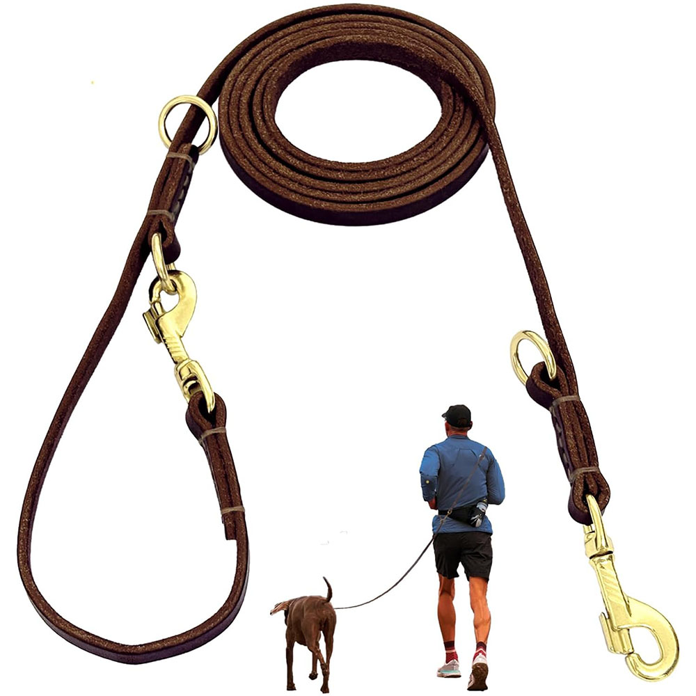 Multifunctionele leren hondenr - Running Gear Dog recensie en prijs