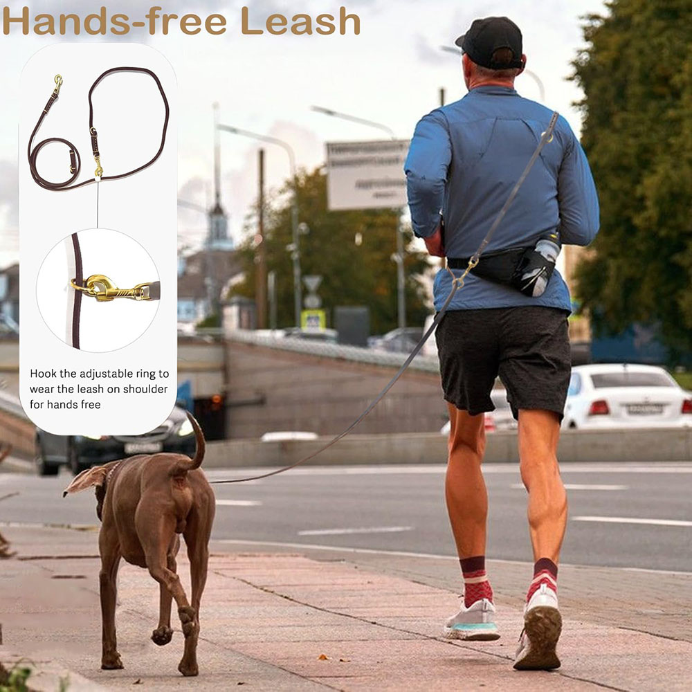Multifunctionele leren hondenr - Running Gear Dog recensie en prijs