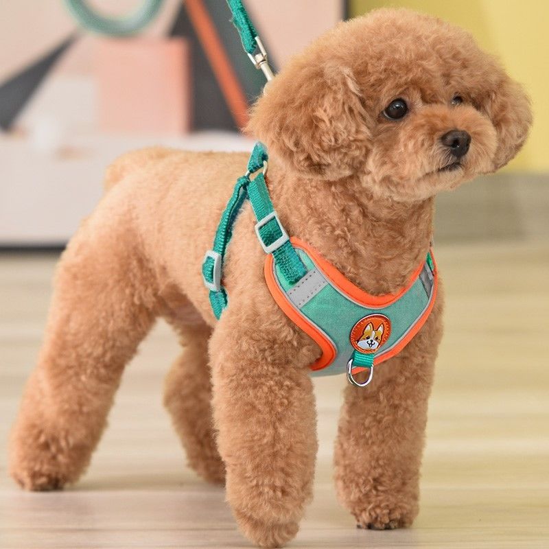 Verstelbare No Trek Huisdier R - Running Gear Dog recensie en prijs