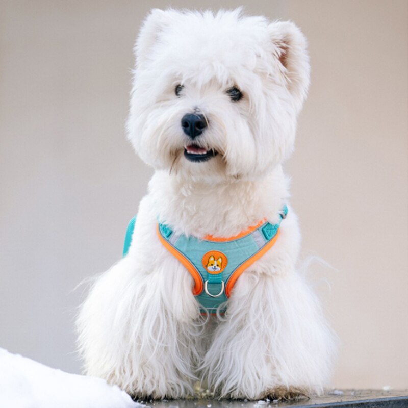 Verstelbare No Trek Huisdier R - Running Gear Dog recensie en prijs