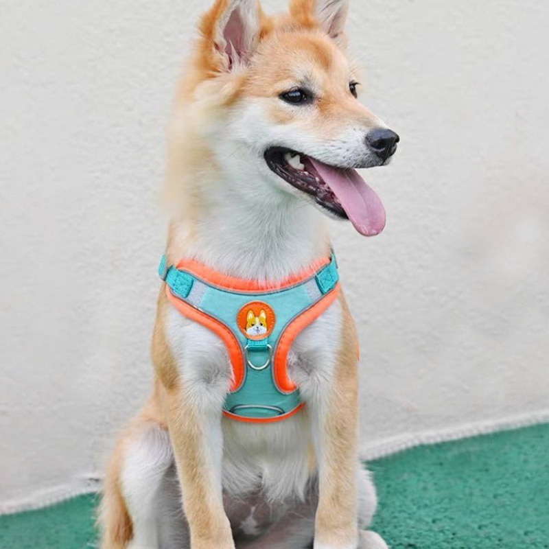 Verstelbare No Trek Huisdier R - Running Gear Dog recensie en prijs